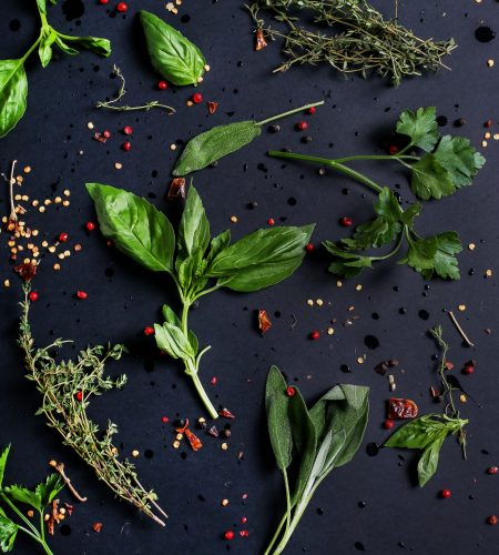 Culinary. Herbs on the table